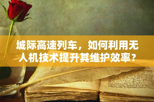 城际高速列车，如何利用无人机技术提升其维护效率？