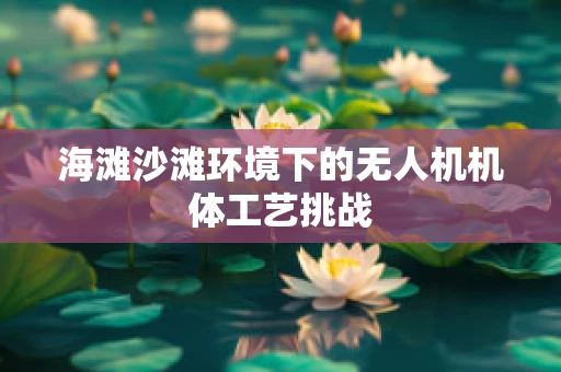 海滩沙滩环境下的无人机机体工艺挑战