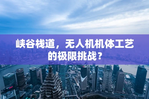 峡谷栈道，无人机机体工艺的极限挑战？