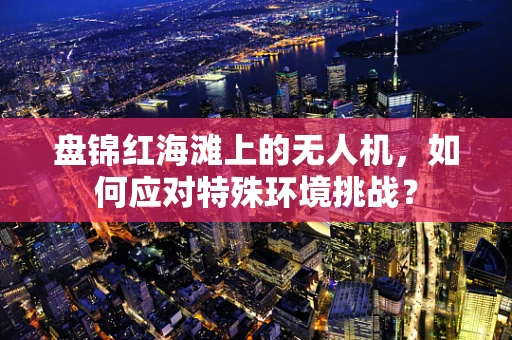 盘锦红海滩上的无人机，如何应对特殊环境挑战？