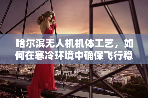 哈尔滨无人机机体工艺，如何在寒冷环境中确保飞行稳定性？
