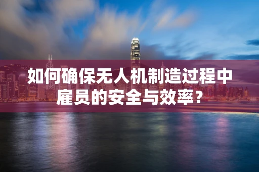如何确保无人机制造过程中雇员的安全与效率？