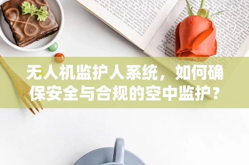 无人机监护人系统，如何确保安全与合规的空中监护？