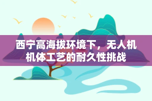 西宁高海拔环境下，无人机机体工艺的耐久性挑战