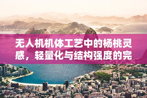 无人机机体工艺中的杨桃灵感，轻量化与结构强度的完美平衡？