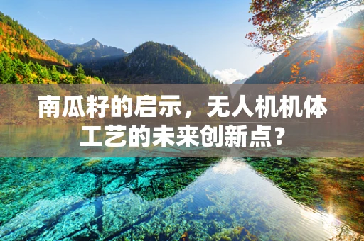 南瓜籽的启示，无人机机体工艺的未来创新点？