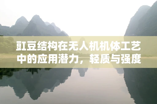 豇豆结构在无人机机体工艺中的应用潜力，轻质与强度的完美结合？