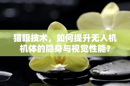 猫眼技术，如何提升无人机机体的隐身与视觉性能？