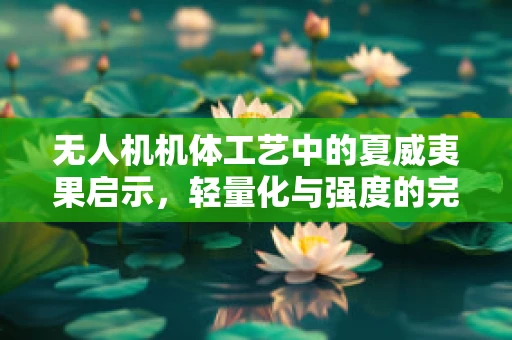 无人机机体工艺中的夏威夷果启示，轻量化与强度的完美平衡？