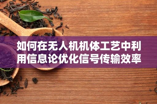 如何在无人机机体工艺中利用信息论优化信号传输效率？