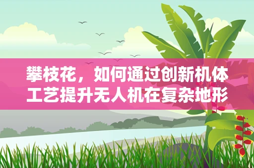 攀枝花，如何通过创新机体工艺提升无人机在复杂地形中的适应性？