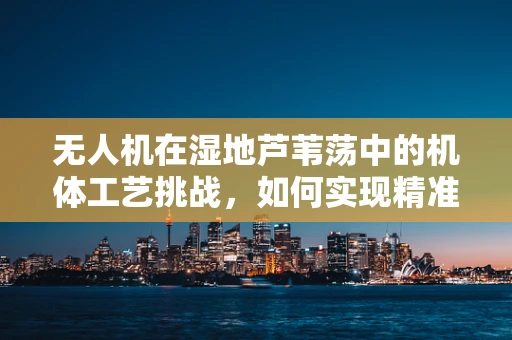 无人机在湿地芦苇荡中的机体工艺挑战，如何实现精准操控与稳定飞行？