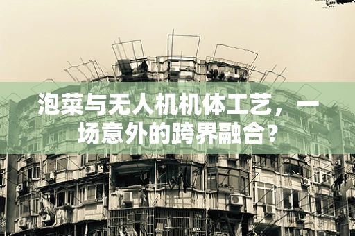 泡菜与无人机机体工艺，一场意外的跨界融合？