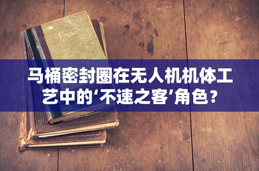 马桶密封圈在无人机机体工艺中的‘不速之客’角色？