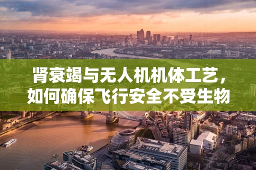 肾衰竭与无人机机体工艺，如何确保飞行安全不受生物影响？