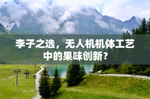 李子之选，无人机机体工艺中的果味创新？
