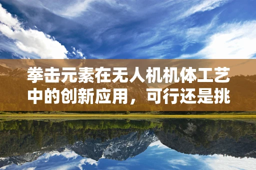 拳击元素在无人机机体工艺中的创新应用，可行还是挑战？