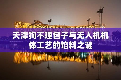 天津狗不理包子与无人机机体工艺的馅料之谜