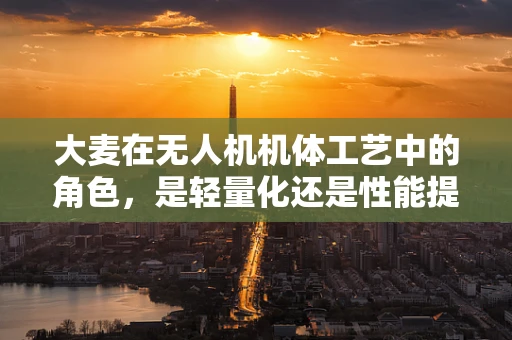 大麦在无人机机体工艺中的角色，是轻量化还是性能提升的‘双刃剑’？