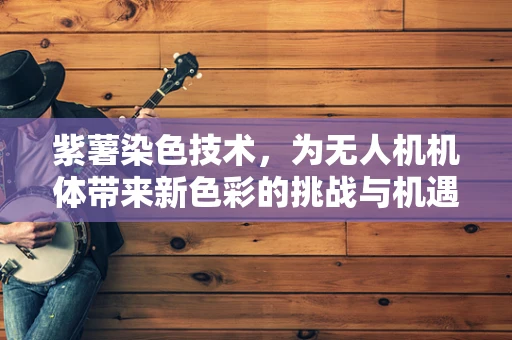 紫薯染色技术，为无人机机体带来新色彩的挑战与机遇？