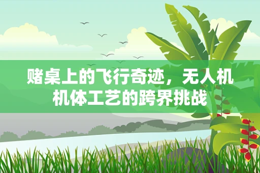 赌桌上的飞行奇迹，无人机机体工艺的跨界挑战