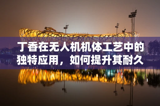 丁香在无人机机体工艺中的独特应用，如何提升其耐久性与隐身性能？