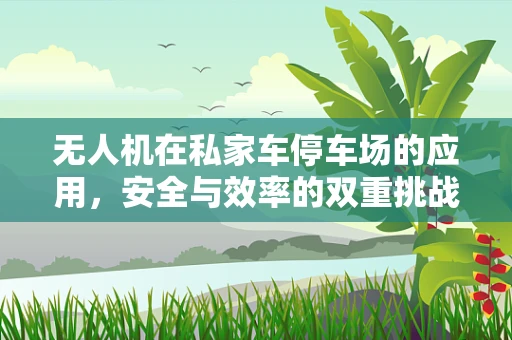 无人机在私家车停车场的应用，安全与效率的双重挑战