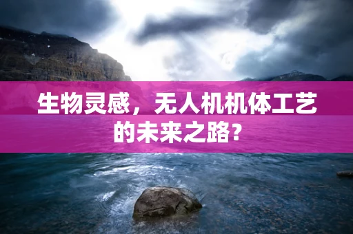 生物灵感，无人机机体工艺的未来之路？