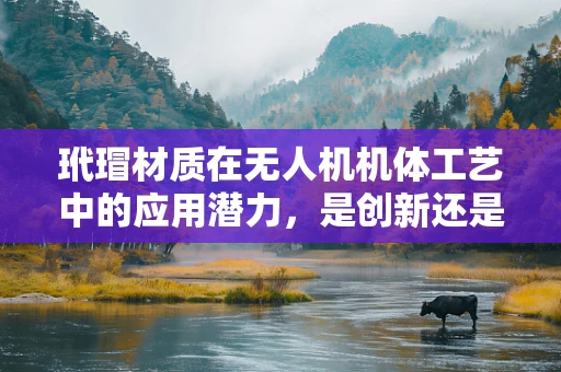 玳瑁材质在无人机机体工艺中的应用潜力，是创新还是挑战？