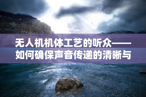 无人机机体工艺的听众——如何确保声音传递的清晰与精准？
