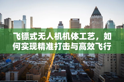 飞镖式无人机机体工艺，如何实现精准打击与高效飞行？