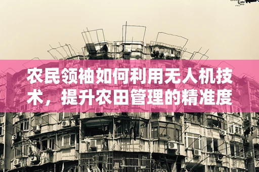 农民领袖如何利用无人机技术，提升农田管理的精准度？