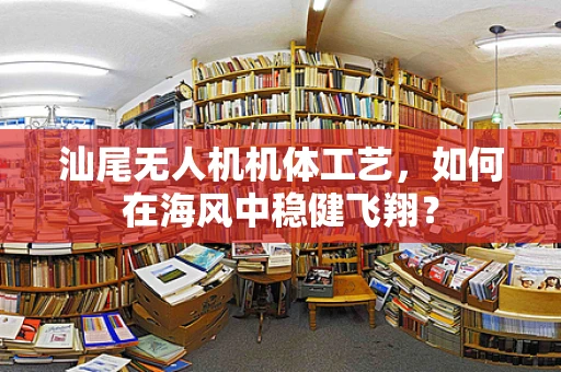 汕尾无人机机体工艺，如何在海风中稳健飞翔？