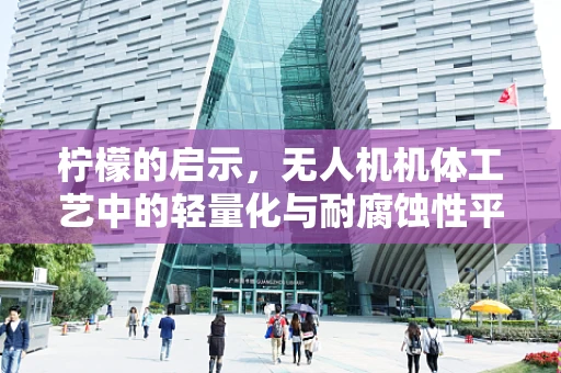 柠檬的启示，无人机机体工艺中的轻量化与耐腐蚀性平衡