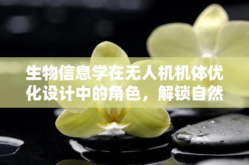 生物信息学在无人机机体优化设计中的角色，解锁自然界的飞行智慧