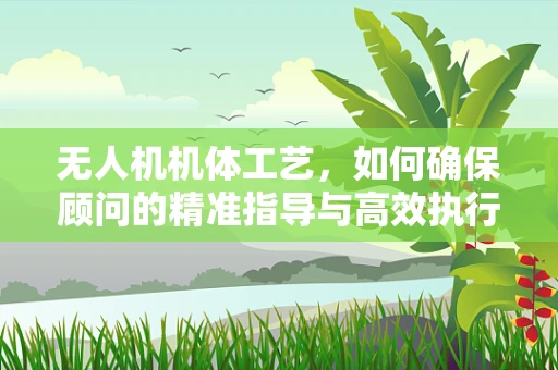 无人机机体工艺，如何确保顾问的精准指导与高效执行？