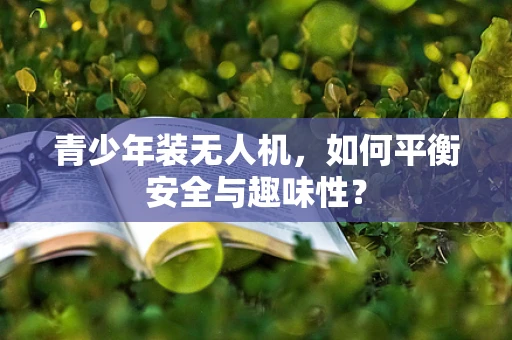 青少年装无人机，如何平衡安全与趣味性？