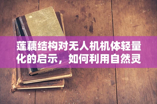 莲藕结构对无人机机体轻量化的启示，如何利用自然灵感优化设计？