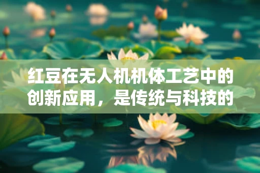 红豆在无人机机体工艺中的创新应用，是传统与科技的完美融合吗？