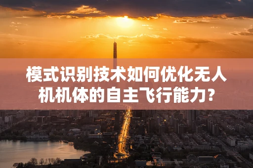 模式识别技术如何优化无人机机体的自主飞行能力？