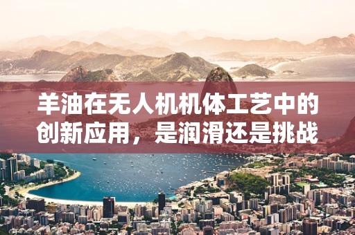 羊油在无人机机体工艺中的创新应用，是润滑还是挑战？
