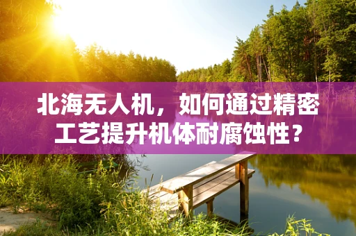 北海无人机，如何通过精密工艺提升机体耐腐蚀性？