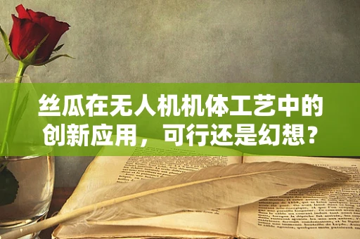 丝瓜在无人机机体工艺中的创新应用，可行还是幻想？