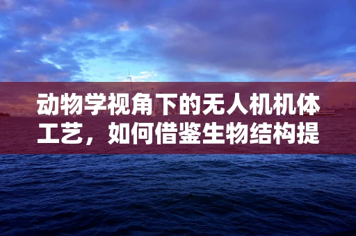 动物学视角下的无人机机体工艺，如何借鉴生物结构提升飞行性能？
