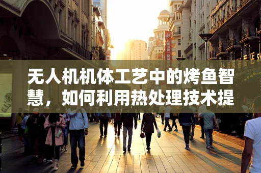 无人机机体工艺中的烤鱼智慧，如何利用热处理技术提升飞行稳定性？