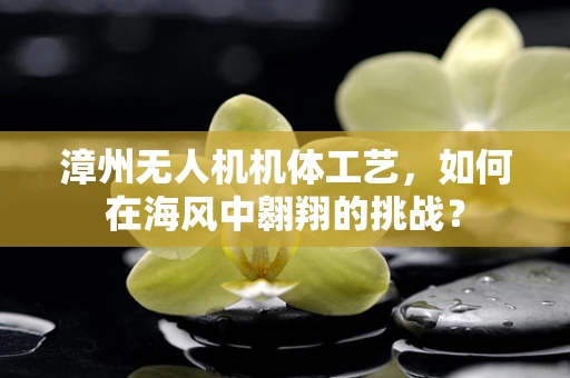 漳州无人机机体工艺，如何在海风中翱翔的挑战？