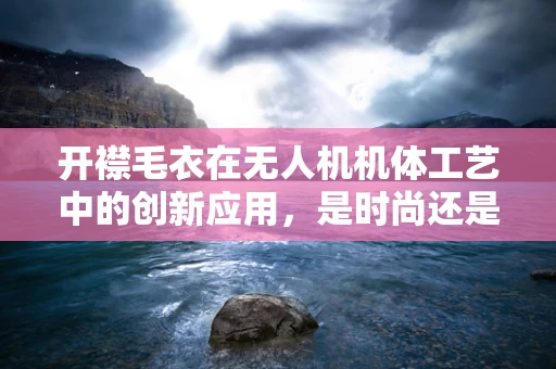 开襟毛衣在无人机机体工艺中的创新应用，是时尚还是技术革新？