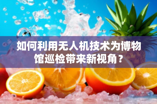 如何利用无人机技术为博物馆巡检带来新视角？