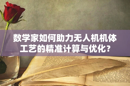 数学家如何助力无人机机体工艺的精准计算与优化？