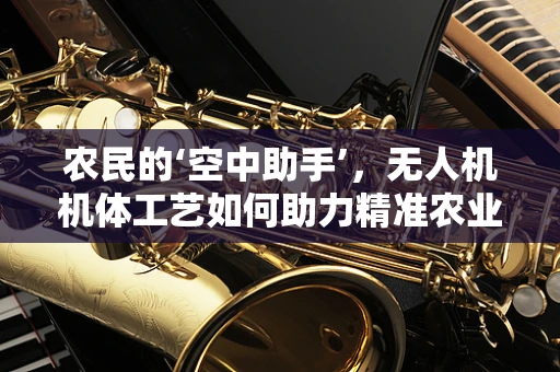农民的‘空中助手’，无人机机体工艺如何助力精准农业？